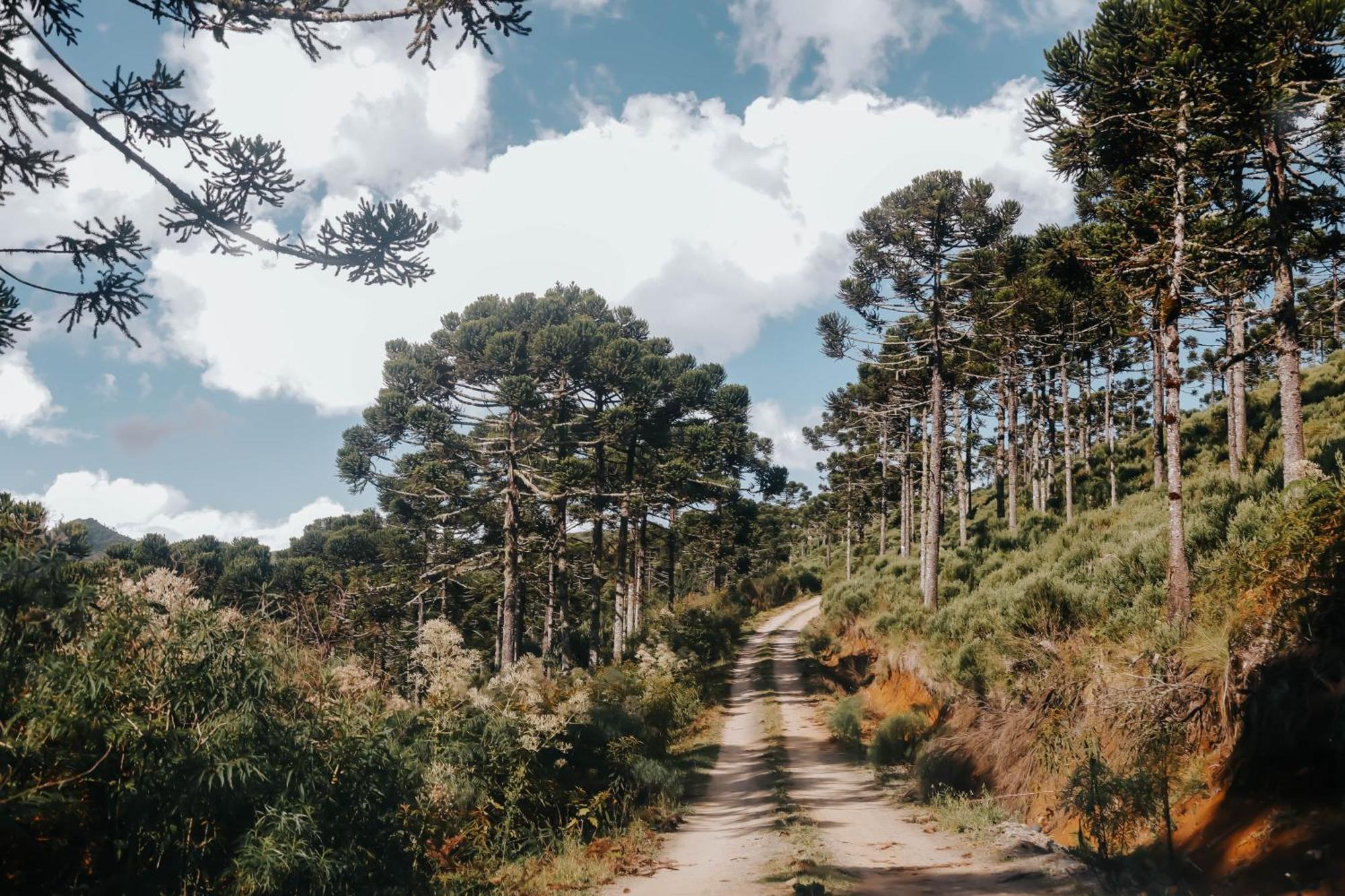 Refugio Bivak Villa Urubici Bagian luar foto